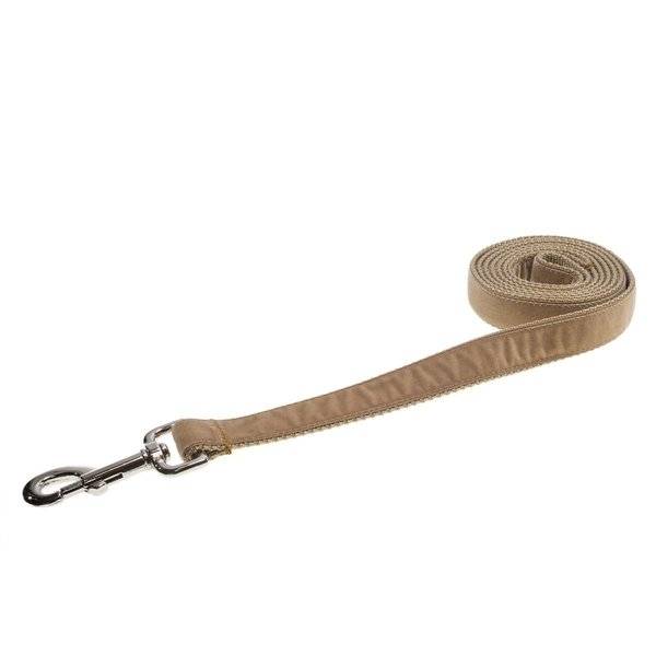 Fly Free Zone. Velvet Gold Dog Leash - Medium FL2650348